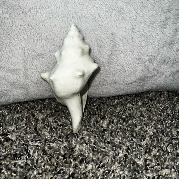 Ceramic Seashell - Picture 2 of 5